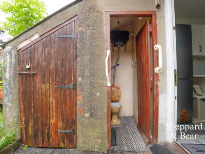 Picture 20